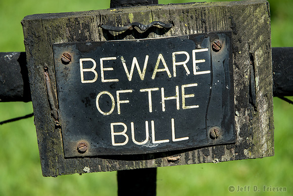 Beware of the Bull
